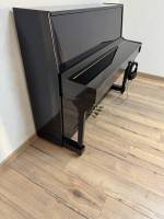 Heilmann 2