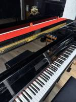 Kawai 1