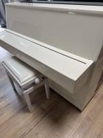 Sangler 2