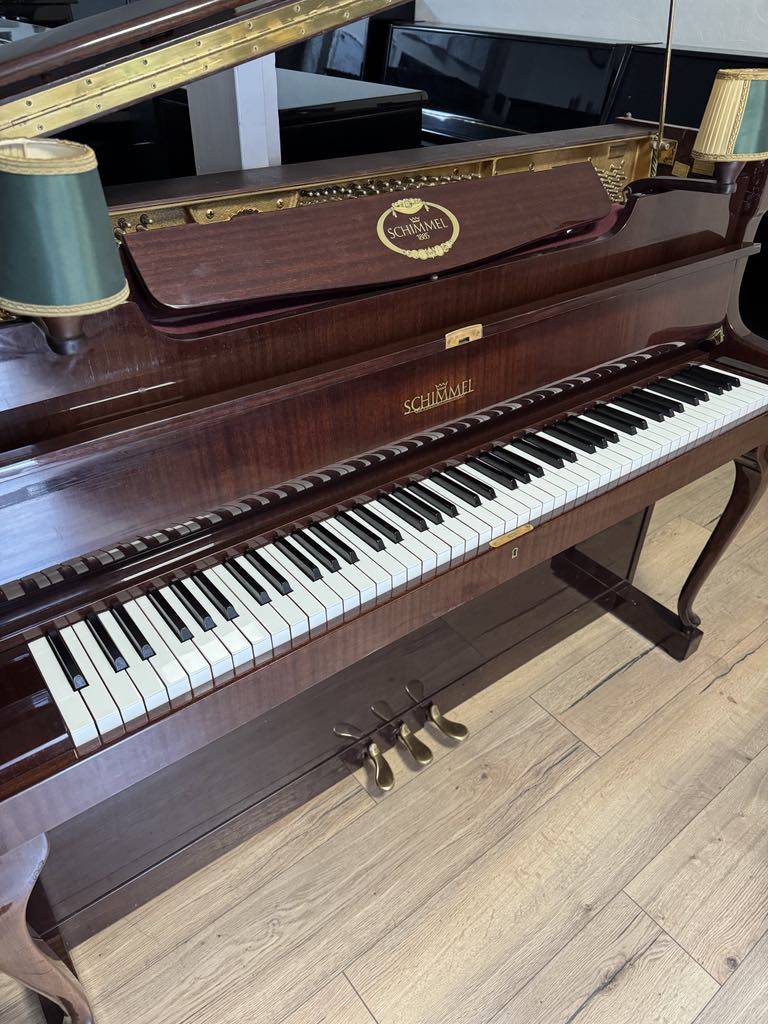 Schimmel bois verni