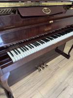 Schimmel bois verni 2