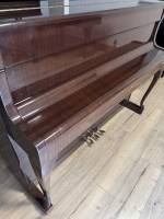 Schimmel bois verni 3