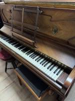 Pleyel bois 2