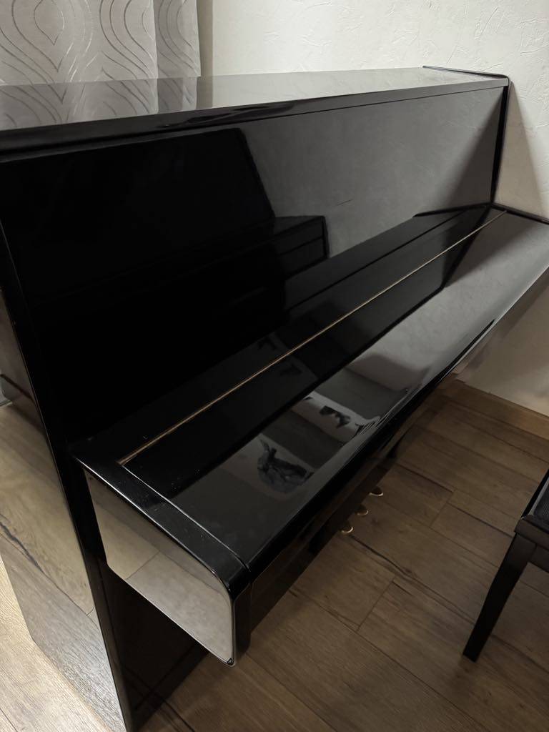 Wienner noir 2