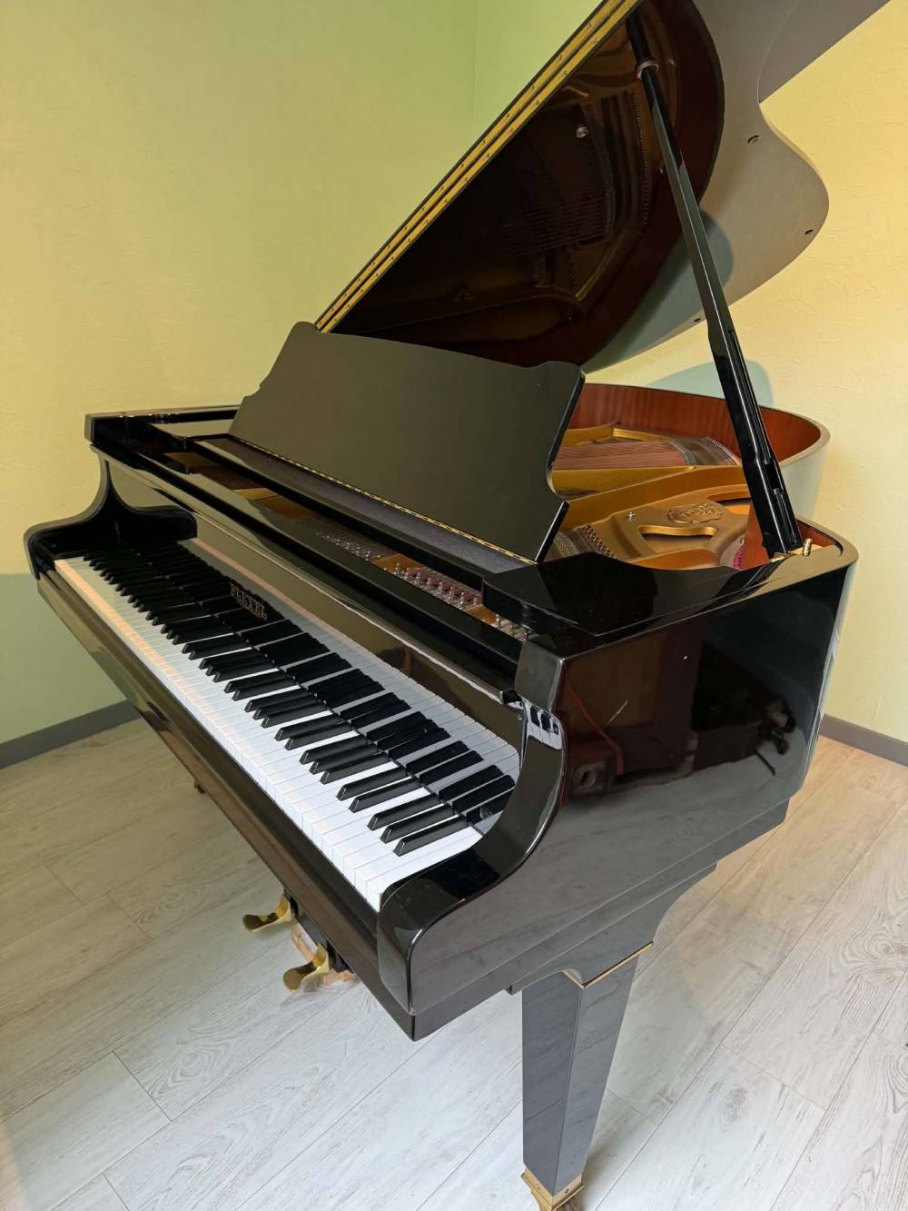 Pleyel 174