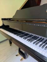 Pleyel 174 2