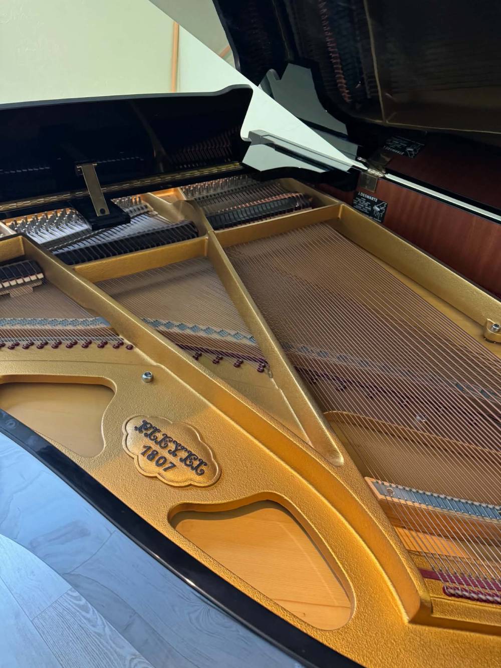 Pleyel 174 3
