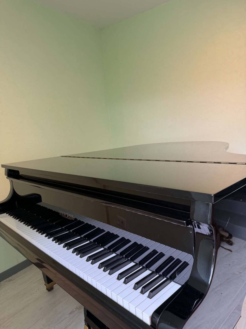 Pleyel 174 5