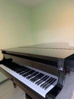 Pleyel 174 5