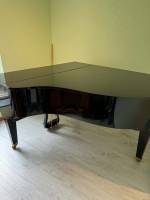 Pleyel 174 6