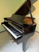 Pleyel 174