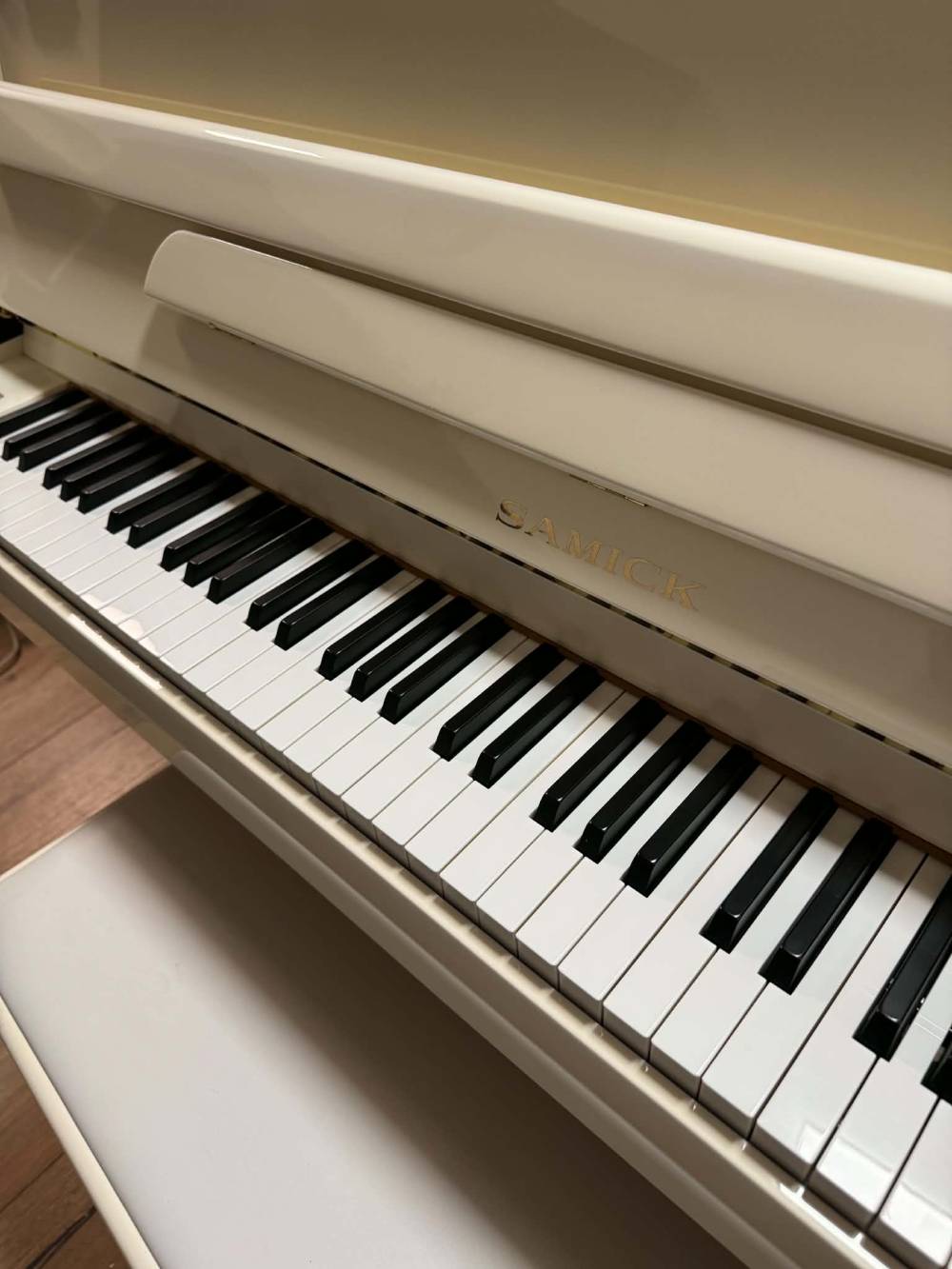 Samick silent 2