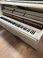 Yamaha C 108